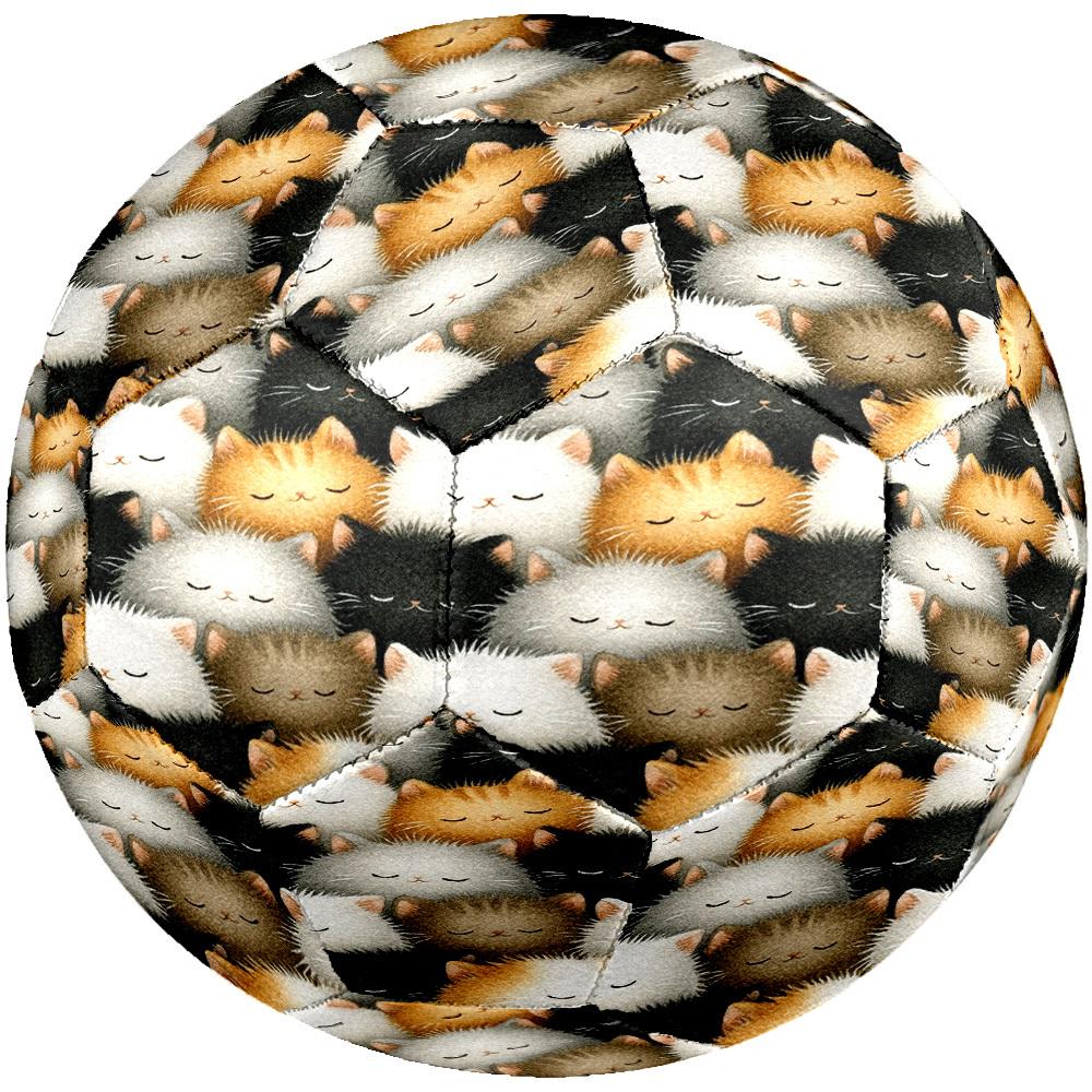 1pc Sleepy Cats Theme Soccer Ball Football, Size 5, Lightweight PVC, Outdoor Training Soccer Ball,Gift c65134