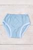 Briefs – Boys' Soft Cotton Underwear, Comfortable Fit, Any Season 271-001 HC
