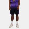 New Nike Los Angeles Lakers 2024/25 City Edition Men's Nike Dri FIT Nba Swingman Shorts FQ4410-504