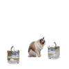Miaolishi Thermogesteuerte Katzenwasserfontäne & Automatischer Spender