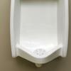 Homoyoyo 2pcs Urinal Drain Cover Bathroom Urinal Filter White Urinal Strainer for Public Restrooms Splash Prevention