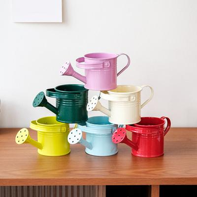 Metal Watering Can with Sprinkler Head Long Spout Watering Pot Small Watering Can Indoor Gardening Tool for Home Balcony Terrace Office Potted Plants