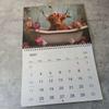 Highlands Cow Calendar 2026 Monthly Planner, 12 Month Wall Calendar,tub Cow 2026 Wall Calendar For Animals Lovers