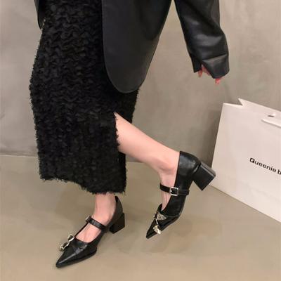 Tempérament français talons hauts pointus chaussures simples noires chaussures pour femmes 2025 nouveau printemps et automne hiver Mary Jane petites chaussures en cuir