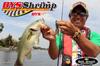 Bait Breath BYS Shrimp 4.5" #529B Morisot Shrimp