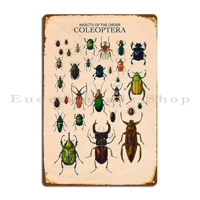 Винтажный плакат с жуком, тетрадь, жесткий плакат Coleoptera, на заказ, для гаража, на стену, декор стены, пещера, жестяной плакат 20x30cm