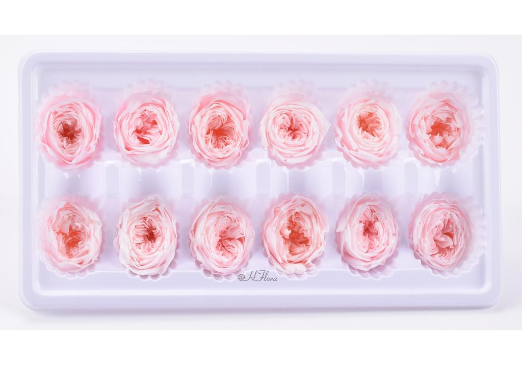 HFlora 3-4cm Preserved Austin Rose Wedding Bouquet Real Touch Dried Flowers Factory Price Long Lasting 3-5 Valentine's Day Day