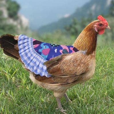 Hühnerweste, elastisches Band, hautfreundliches Haustier, Geflügel, Henne, Ente, Spitzenweste, Heimtierbedarf