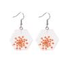Dongdaemun Dried Flower Transparent Acrylic Geometric Resin Earrings Temperament Personalized Stud Earrings Earrings