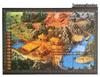 Stone Age Commemorative Edition: Chinese Winter/Summer Double-Sided Adult Casual Board Game