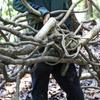 Decorazione Matrimoniale con Vite Rossa Appassita, Rattan, Viticci di Foglie d'Uva e Rami di Vecchia Vite Artificiale