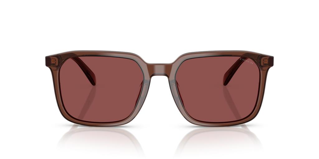 Sunglasses 0HC8411U TRANSPARENT MAHOGANY 55 [Coach]