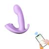 Women's Silicone Suction Penis Anal Plug Three-in-one Vibrator, G-spot Stimulation Masturbator, Adult Sexy Sex Toys, Sex Toys