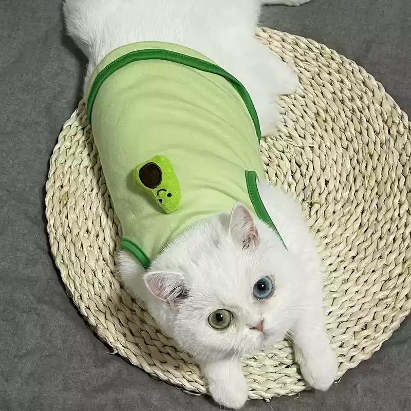 Pet Clothes Cat Vest for Persian Cat Siamese Kitten Spring Autumn Thin Teddy Bear Schnauri Dog Clothes Summer Small Dog Tank Top