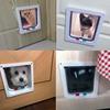 Cat and Dog Flag Door , 4 Way Locking Cat Flap Door for Interior Exterior Doors, Weatherproof Pet Doors for Cats & Doggie , Suitable for Window & Wall