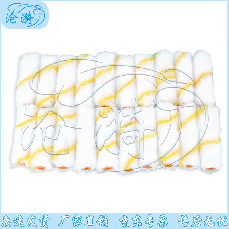 Cangyi 4-inch Polyester Paint Roller Set