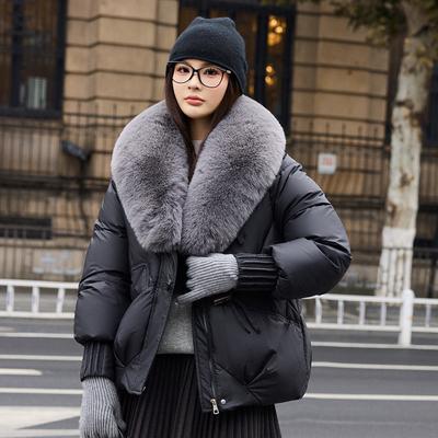 Stijlvolle winterjassen voor dames: Warm en modieus, met een grote kraag van imitatiebont en een korte lengte.