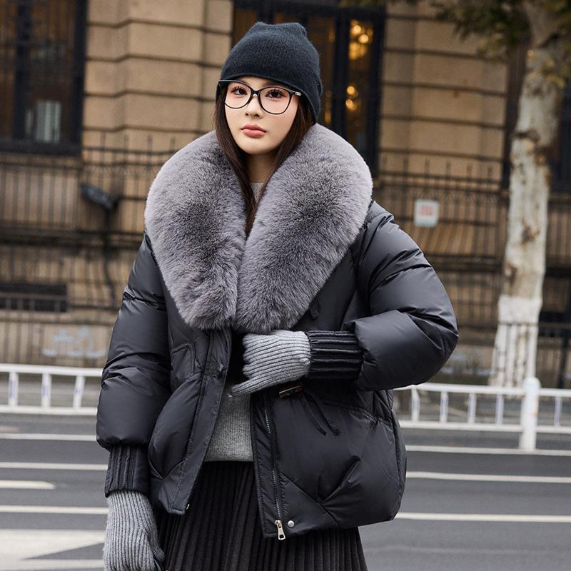 Stylish Winter Coats for Women: Warm and Fashionable, with A Large Faux Fur Collar and A Short Length.