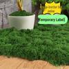 Artificial Green Moss Turf for Decorative Landscaping and Bonsai