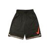 Sports Shorts Men's Moderate CD7098-010