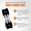 Adjustable Dog Rear Leg Hock Brace Breathable Reflective Design Dog Arthritis Protector Shock-Absorbing Soft Lining
