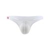 Low Rise Ice Silk Underpants See-through Bikini Briefs Simple Men's Thong  Male