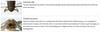 OSP Soft Lure Flutter Tube 2.5 Inches W-079 (0299)