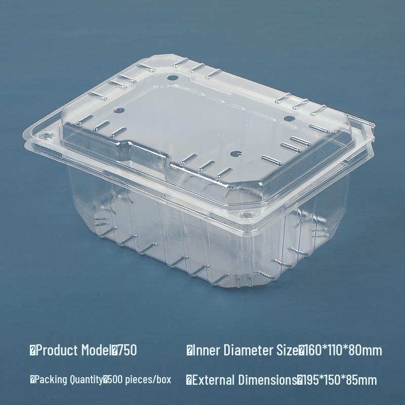 Transparent Disposable Fruit Box with Lid – Food-Grade Plastic, Rectangular, Sturdy for Takeaway, Ideal for Strawberries or Cut Fruit