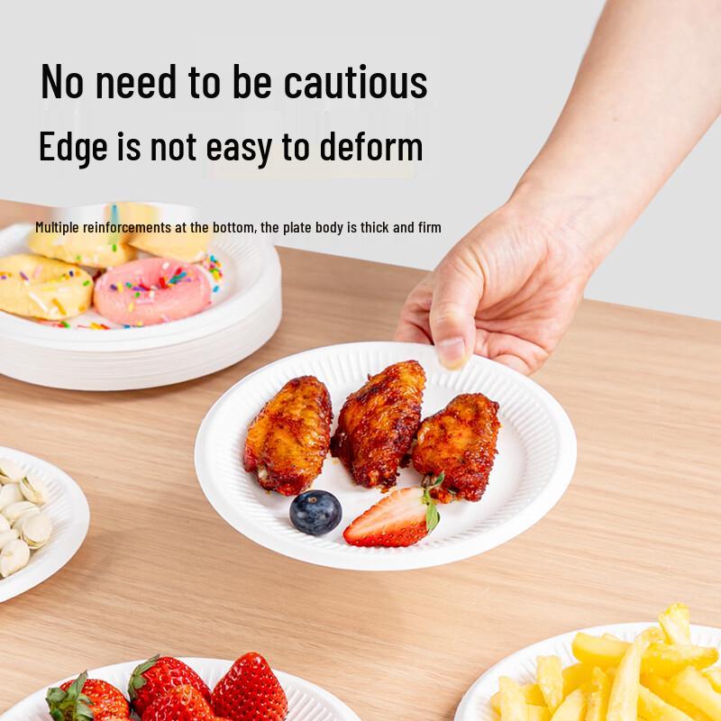Temeiju 6-inch Biodegradable Disposable Plates