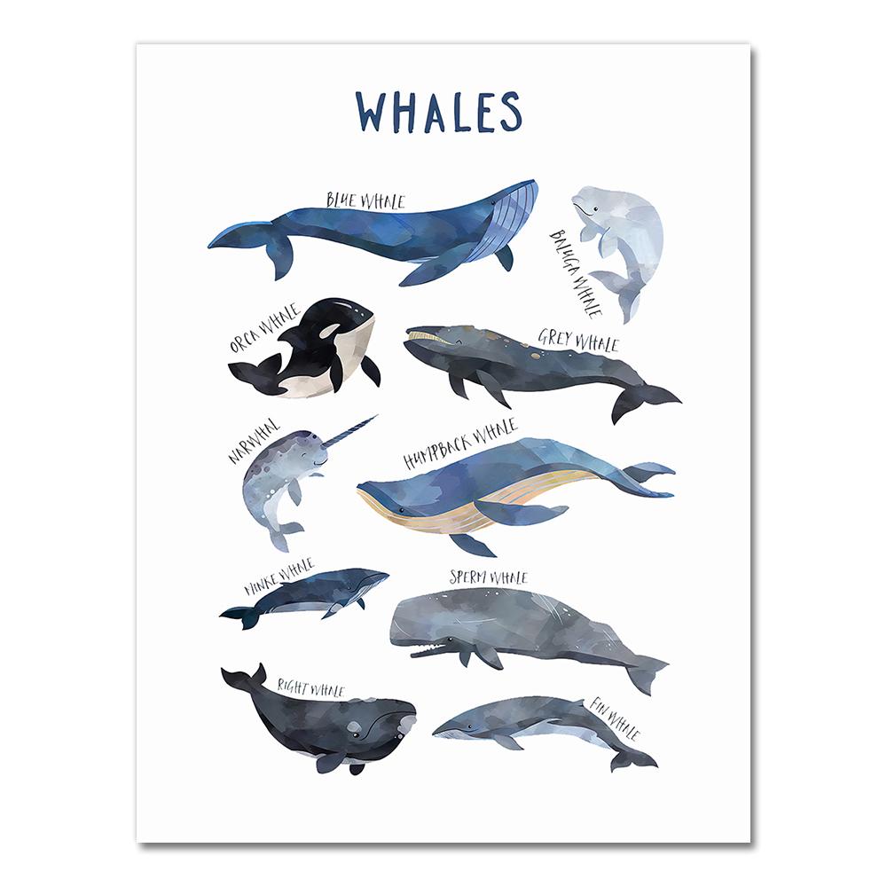Child Poster Whale Shark Marine Animal Nursery Canvas Art Print Education Wall Picture Painting Nordic Baby Kids Room Decoration