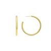 Luxenter Earrings and 18k Gold Plated - Polur