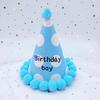 Creative Cartoon Pompom Birthday Hat for Selfies - For Adults & Babies