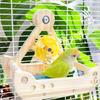 Rocking Parrot Playgrounds Stand Perch Toy with 4 Chewable Perches Encouraging Balance Exercise For Small to Large Bird