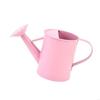 Iron Watering Can 20oz Easy Grip Handle Design for Precise Indoor and Outdoor Plant Care Gardening Supply