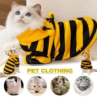 Kedi – Kediler için giyim