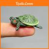 Marine Animal Model Pvc Sea Turtle Collectors Figure For Kids And Decoration