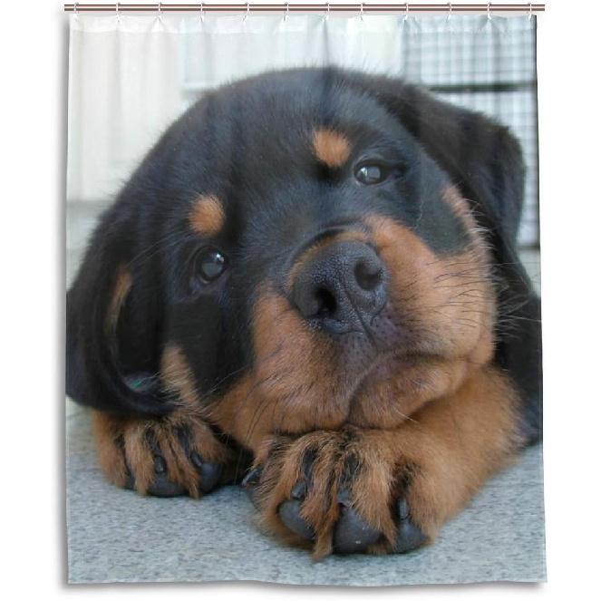 Vodotěsný sprchový závěs pro každodenní použití Roztomilá štěňata rotvajlera Koupelnová sada Polyesterová tkanina Sprchový závěs s háčky 60x72 palce