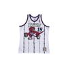Mitchell Ness Nba Authentic "Toronto Raptors 1998 Vince Carter" Jersey AJY4GS18106-TRAWHIT98VCA