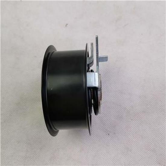 Foton Zahnriemenspanner (PV10001528) kompatibel