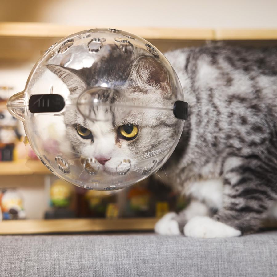 Pet Cat Transparent Space Helmet - Breathable Anti-Scratch Bite-Resistant Design with Cat Ears