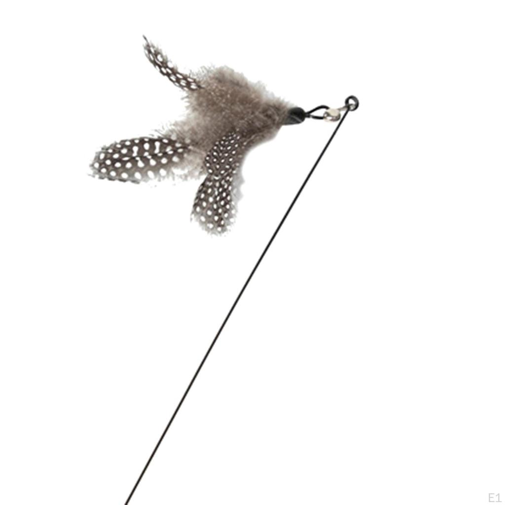 Cat Teaser Toy, Interactive Exercise Chase Training, Handheld Feather Toy
