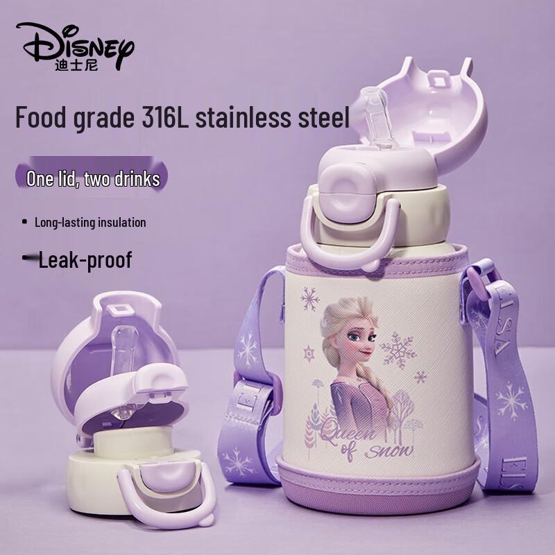 Disney Kids 316SS Insulated Straw Water Bottle
