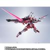 METAL ROBOT SPIRITS Infinite Justice Gundam 20th Anniversary <SIDE MS> Ver.