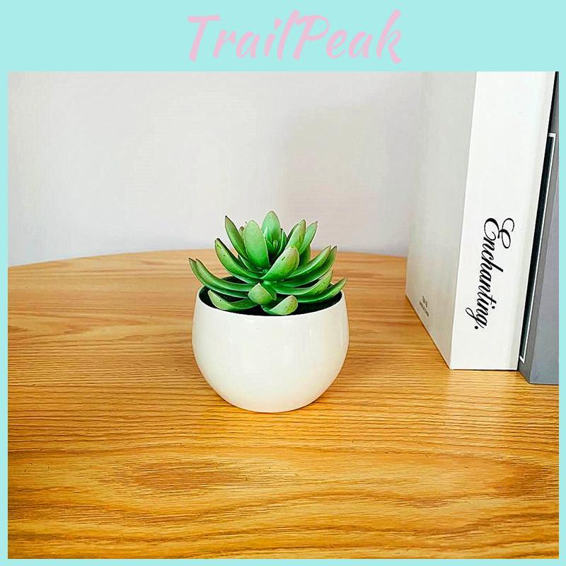 Simulated Succulent Bonsai Pot With Lightweight Pvc For Home Office Interior Design