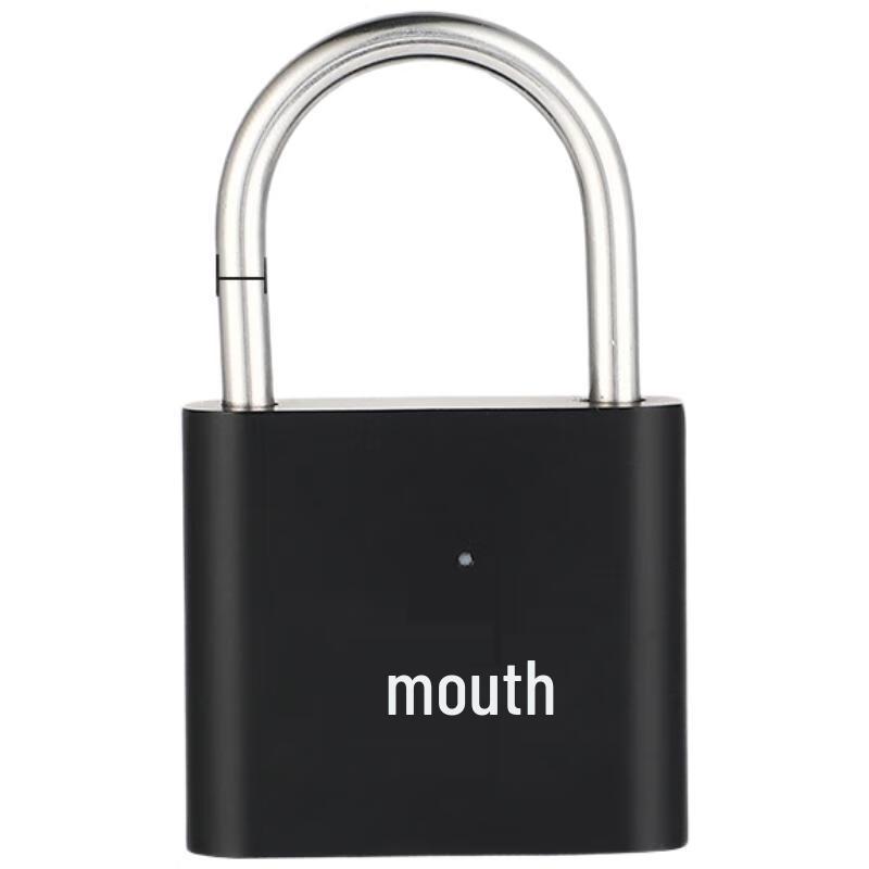 Smart Outdoor Fingerprint Padlock
