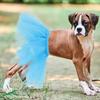 2Pcs Dog Tutu Skirt Pet Tulle Dress Stylish Princess Outfit Soft Breathable Fabric Easy Wear for Small Medium Large Pets