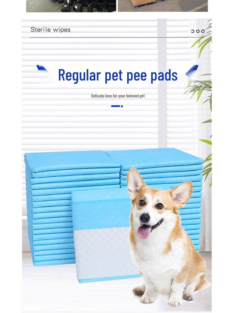 Pet & Dog Diapers: Thick, Absorbent, Cat Training Toilet Supplies