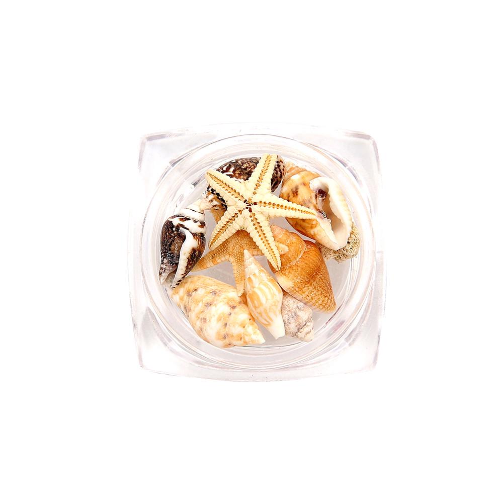 (Nikita) Sea Shell 1BOX Nail Art Rhinestones Glitter Diamond Gems 3D Tips DIY Decoration