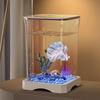 Creative Betta Fish Ecological Desktop Tank with Night Light Decoration.