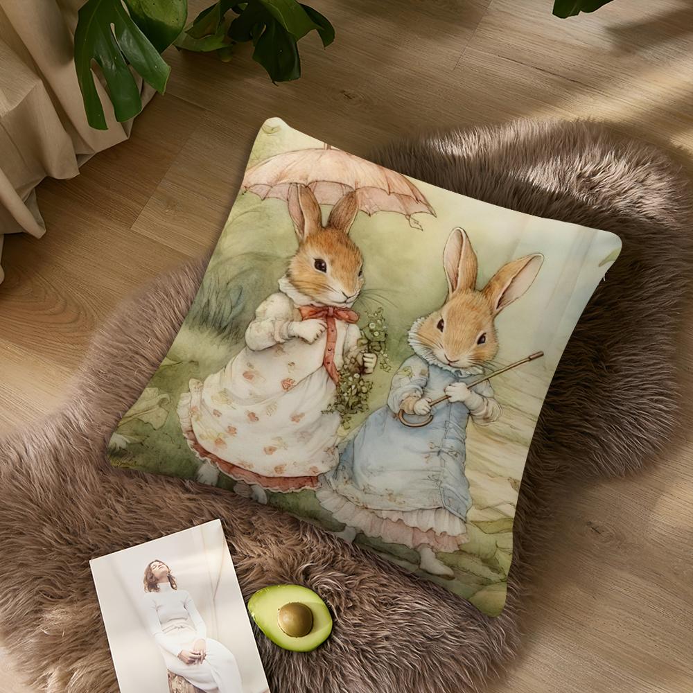 

Наволочка с рисунком из мультфильма «Питер р-кролик», акцент для гостиной, поддержка спинки дивана, квадратная гостиная, компаньон для спокойного сна 40x40CM(16x16in)